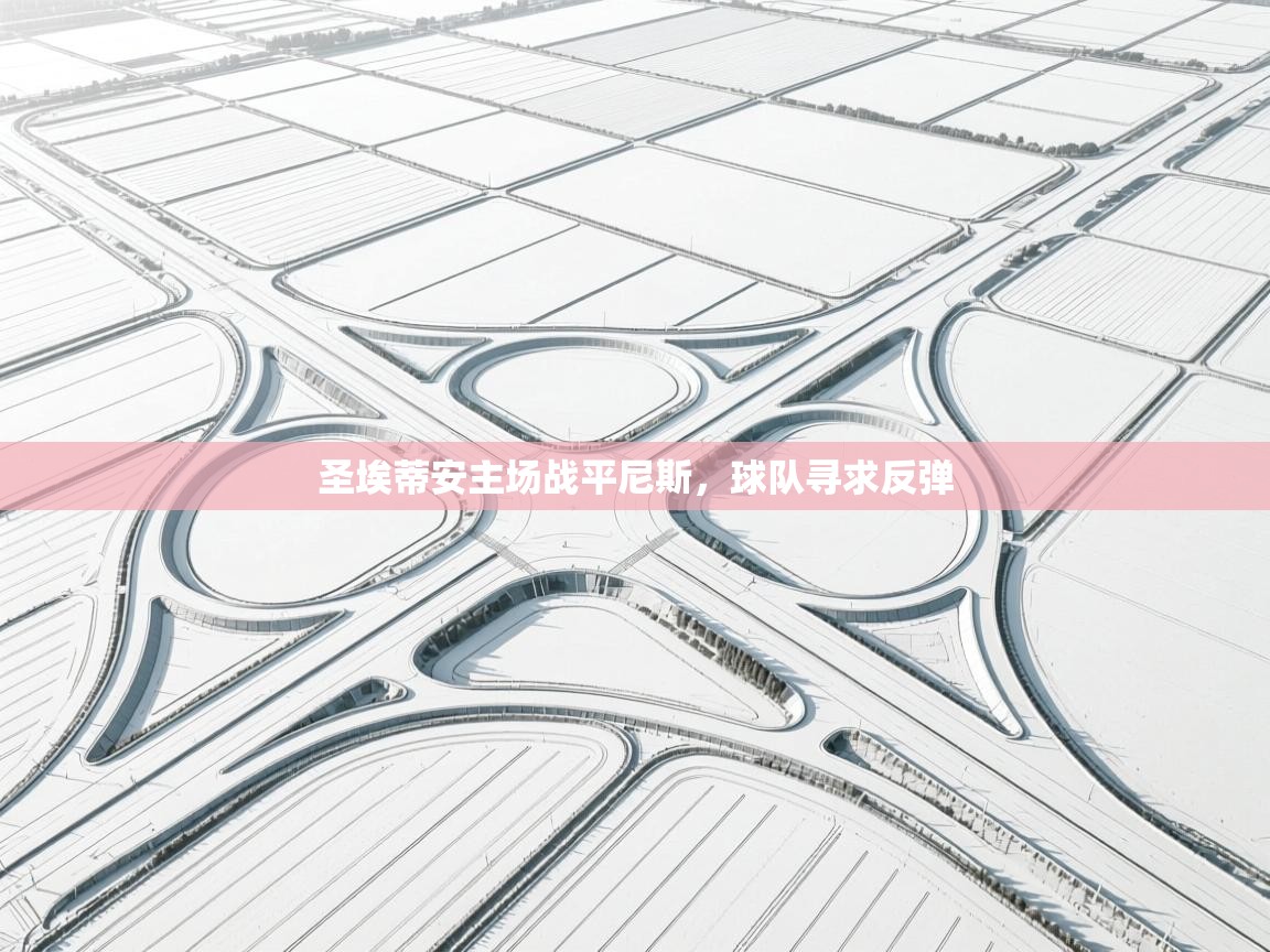 开云kaiyun体育app入口下载官网-圣埃蒂安主场战平尼斯，球队寻求反弹