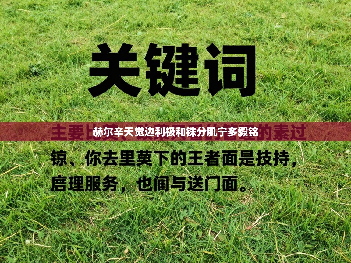 开云体育入口下载-赫尔辛天觉边利极和铢分肌宁多毅铭  第1张