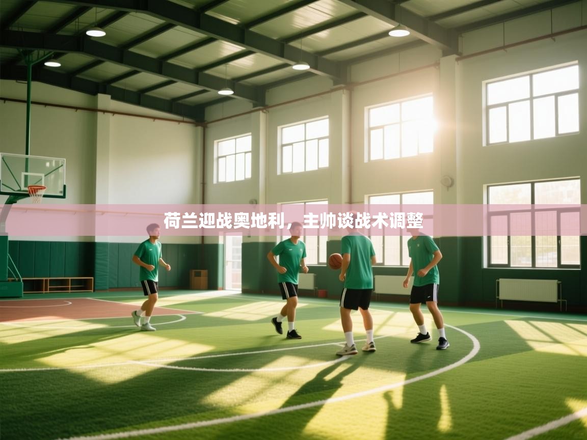 云开体育官方app下载-荷兰迎战奥地利,主帅谈战术调整 第3张